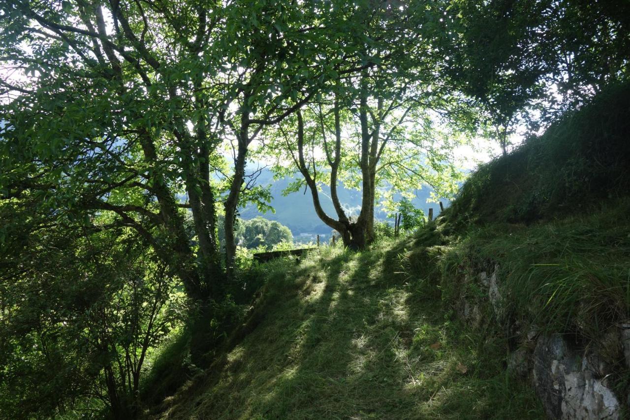Gite Montagne Et Vie Bedous Eksteriør bilde